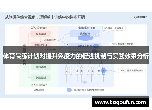 体育晨练计划对提升免疫力的促进机制与实践效果分析